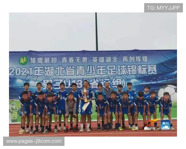 深度解读黄石足球整体实力与未来发展前景的全面系统分析报告详述